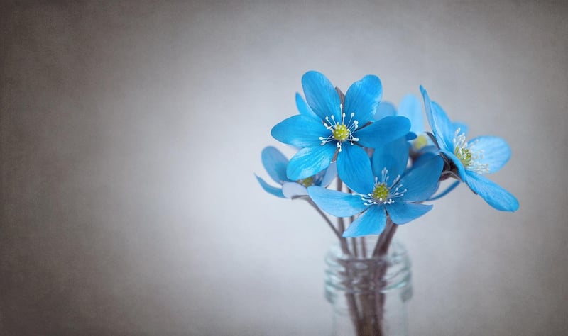 Wedding Flowers