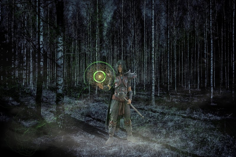 Enchanted Wizardry